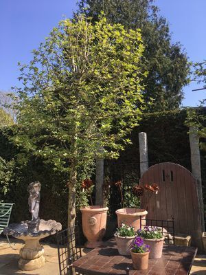 2019-04-20 11.52.35.jpg