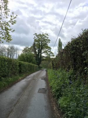 2019-04-26 09.53.55.jpg