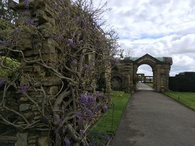 2019-04-26 10.52.34.jpg