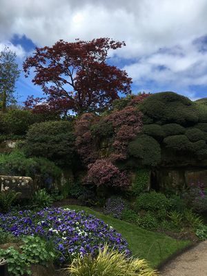 2019-04-26 12.35.34.jpg