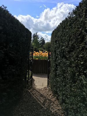 2019-04-26 14.40.56.jpg