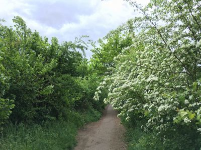 2019-04-28 11.36.08.jpg