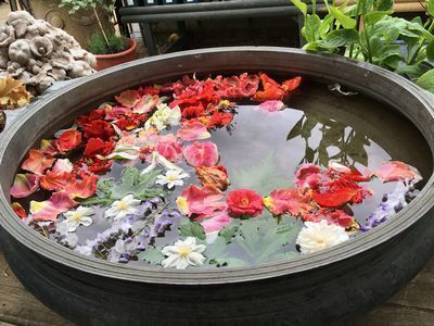 2019-04-28 12.26.04.jpg