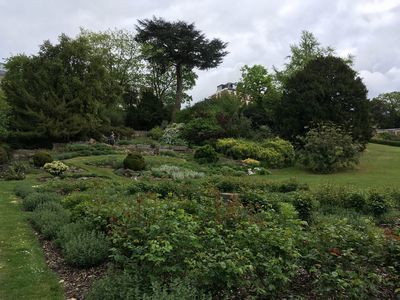2019-04-28 12.47.13.jpg