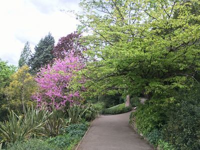 2019-04-28 12.49.58.jpg
