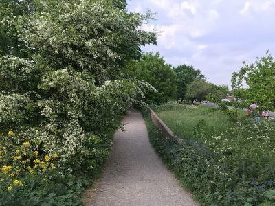 2019-05-01 16.22.38.jpg