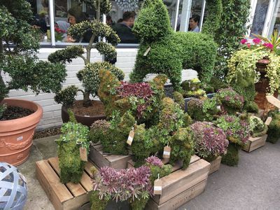 2019-05-05 11.53.42.jpg