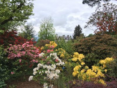 2019-05-18 14.15.51.jpg