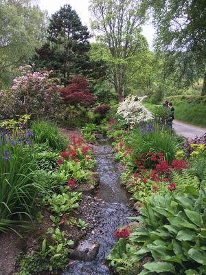 2019-05-18 15.22.17.jpg