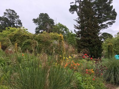 2019-05-18 16.26.43.jpg