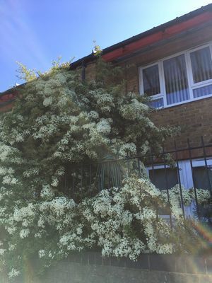 2019-05-21 09.44.16.jpg