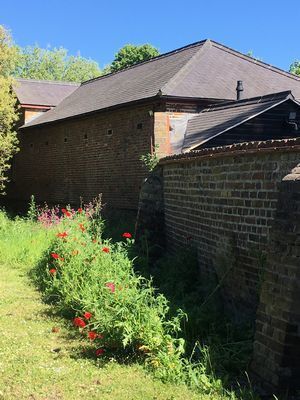 2019-05-21 09.58.14.jpg