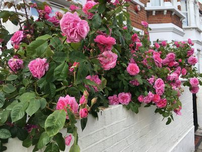 2019-05-21 16.34.12.jpg