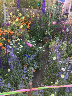 2019-05-22 19.27.24.jpg