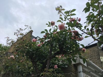 2019-05-26 16.01.56.jpg