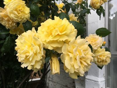 2019-05-27 13.36.41.jpg