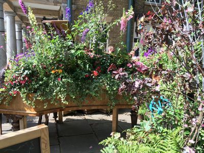 2019-06-01 15.37.34.jpg