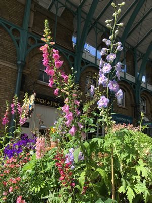2019-06-01 15.37.58.jpg