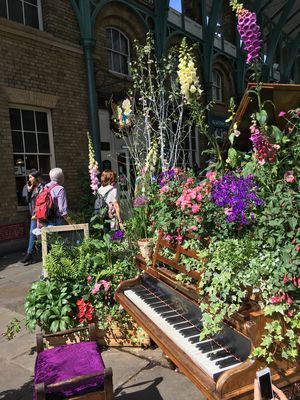 2019-06-01 15.38.35.jpg