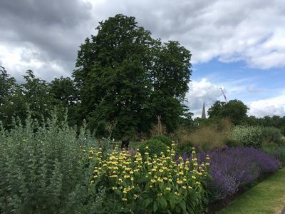 2019-06-05 10.46.29.jpg
