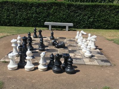 2019-06-06 11.24.33.jpg