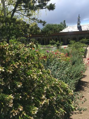 2019-06-06 11.28.09.jpg