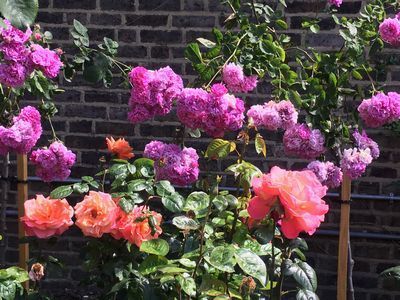 2019-06-06 11.36.56.jpg