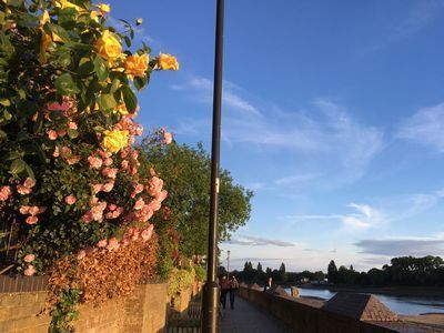 2019-06-14 20.32.34.jpg