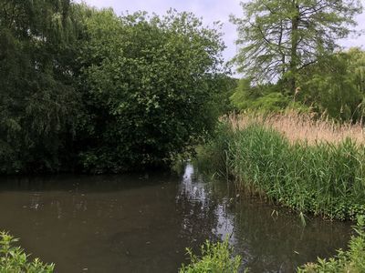 2019-06-15 14.44.55.jpg