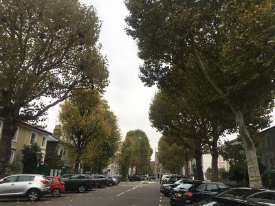 2018-10-30 12.44.16.jpg