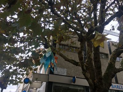2018-10-30 13.03.25.jpg