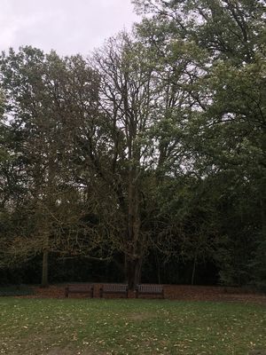 2018-10-30 14.26.52.jpg