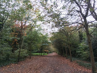 2018-10-30 14.29.52.jpg