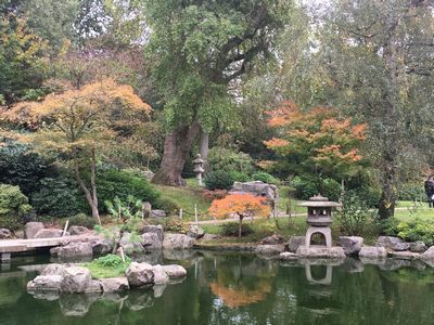 2018-10-30 14.35.21.jpg