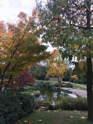 2018-10-30 14.36.02.jpg