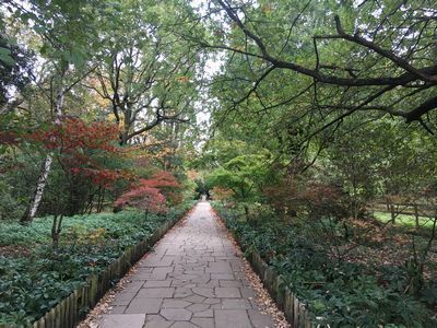 2018-10-30 14.54.47.jpg