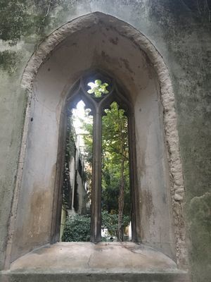 2018-10-31 16.32.05.jpg