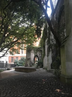 2018-10-31 16.34.11.jpg