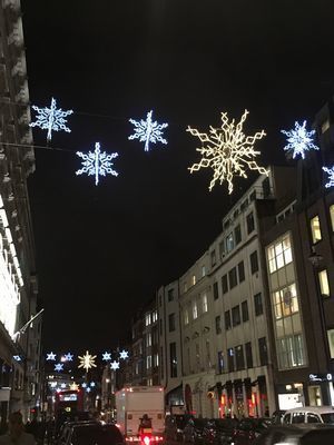 2018-11-29 17.13.56.jpg