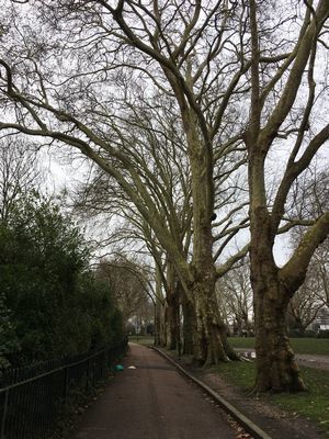 2019-02-05 13.31.22.jpg