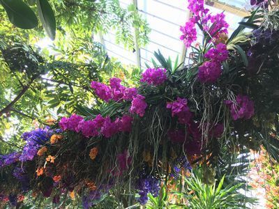 2019-02-27 09.28.39.jpg