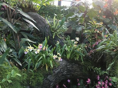 2019-02-27 09.36.00.jpg