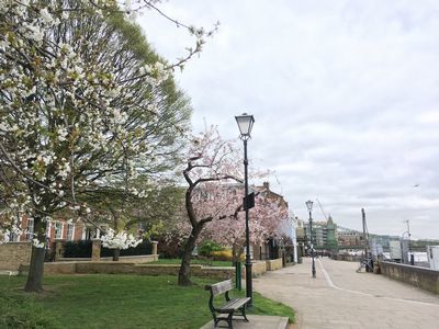 2019-03-21 14.34.26.jpg