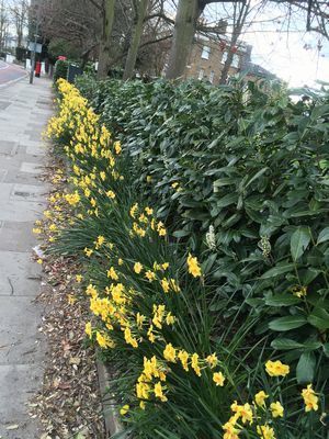 2019-03-27 15.03.46.jpg