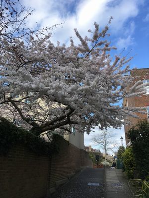 2019-03-27 16.01.17.jpg