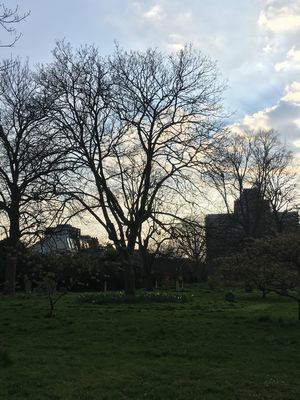 2019-03-28 16.41.09.jpg