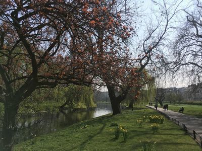 2019-03-30 10.30.46.jpg
