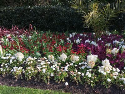 2019-03-30 10.31.54.jpg