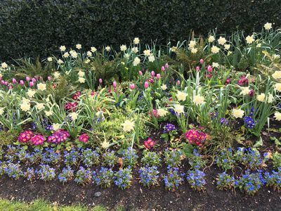 2019-03-30 10.33.57.jpg