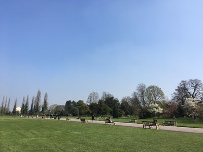2019-03-30 10.40.08.jpg